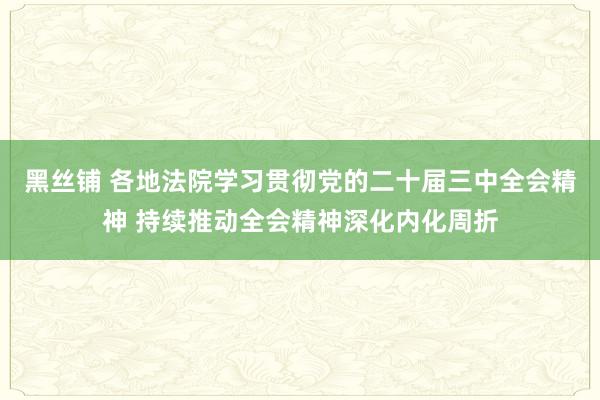 黑丝铺 各地法院学习贯彻党的二十届三中全会精神 持续推动全会精神深化内化周折