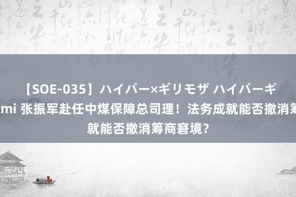 【SOE-035】ハイパー×ギリモザ ハイパーギリモザ Ami 张振军赴任中煤保障总司理！法务成就能否撤消筹商窘境？