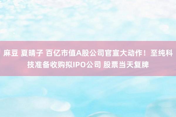麻豆 夏晴子 百亿市值A股公司官宣大动作！至纯科技准备收购拟IPO公司 股票当天复牌