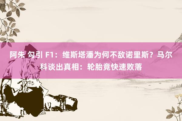 阿朱 勾引 F1：维斯塔潘为何不敌诺里斯？马尔科谈出真相：轮胎竟快速败落