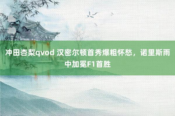 冲田杏梨qvod 汉密尔顿首秀爆粗怀愁，诺里斯雨中加冕F1首胜