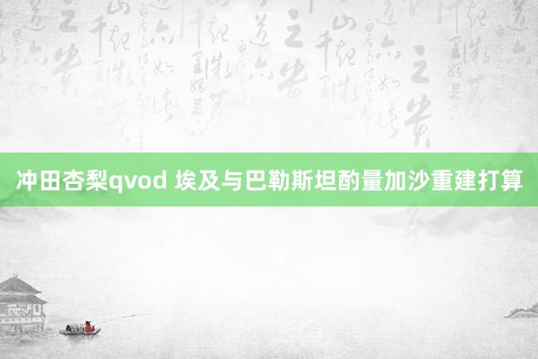 冲田杏梨qvod 埃及与巴勒斯坦酌量加沙重建打算
