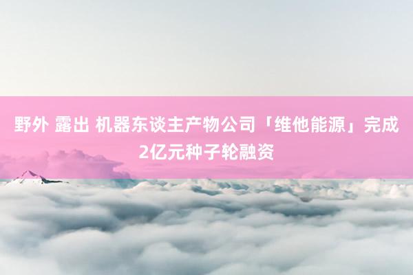 野外 露出 机器东谈主产物公司「维他能源」完成2亿元种子轮融资